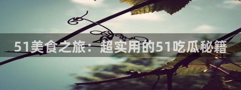 51美食之旅：超实用的51吃瓜秘籍