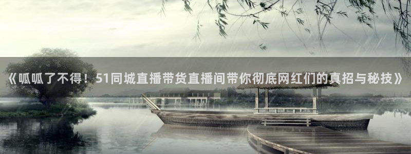 《呱呱了不得！51同城直播带货直播间带你彻底网红们的真招与秘技》