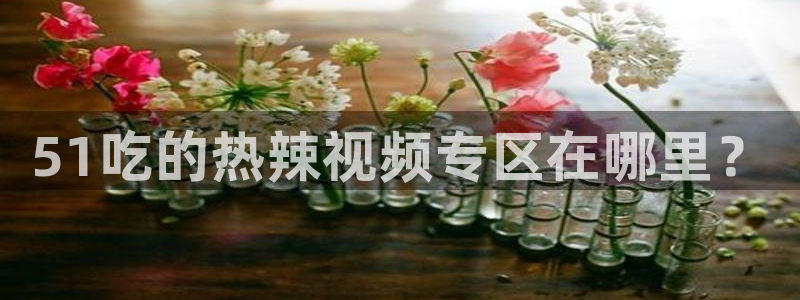 51吃的热辣视频专区在哪里？